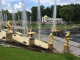 IMG_6588.jpg