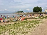 IMG_6640.jpg
