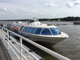 IMG_6651.jpg