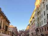 IMG_7078.jpg