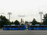 IMG_7181.jpg