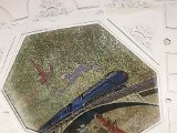 IMG_7197.jpg
