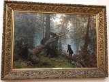 IMG_7330.jpg