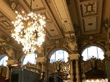 IMG_7457.jpg