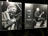 IMG_7524.jpg