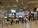 IMG_7895.jpg