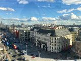 IMG_7900.jpg