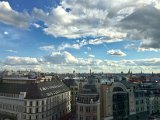 IMG_7905.jpg