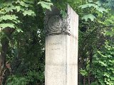 IMG_7919.jpg