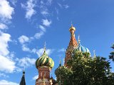 IMG_7944.jpg