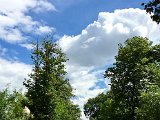 IMG_8142.jpg