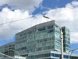 IMG_8146.jpg