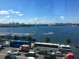 IMG_8513.jpg