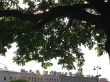 IMG_8536.jpg