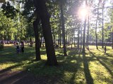 IMG_8543.jpg