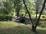 IMG_8714.jpg