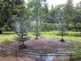 IMG_8856.jpg