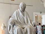 IMG_8896.jpg