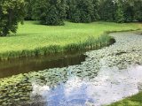 IMG_9347.jpg