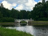 IMG_9370.jpg