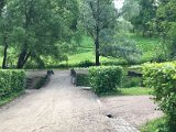 IMG_9384.jpg