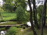 IMG_9386.jpg