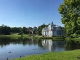 IMG_9550.jpg