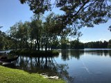 IMG_9556.jpg
