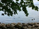 IMG_9784.jpg