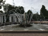 IMG_9793.jpg