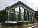IMG_9795.jpg