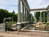 IMG_9800.jpg
