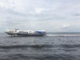 IMG_9853.jpg